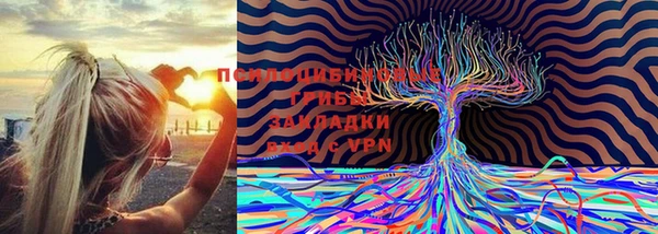дмт Гусь-Хрустальный