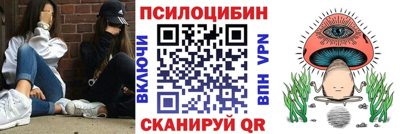 mega как войти  Дмитровск  Галлюциногенные грибы Psilocybine cubensis 